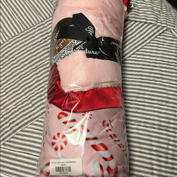 Minky Couture Other - Pink and Red Candy Cane Blanket